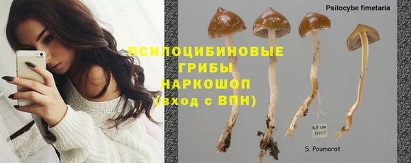 гидра Карталы