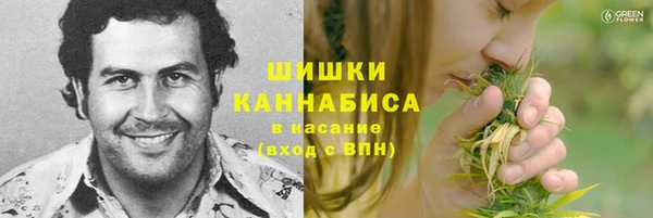 дмт Лабытнанги
