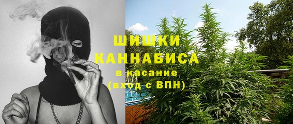 дмт Лабытнанги