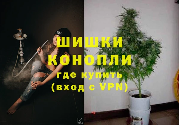 2c-b Лагань