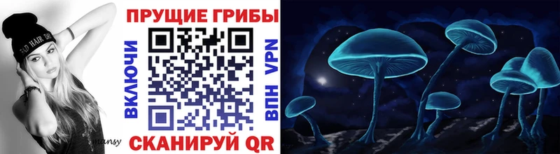 Галлюциногенные грибы MAGIC MUSHROOMS  сколько стоит  Мезень 